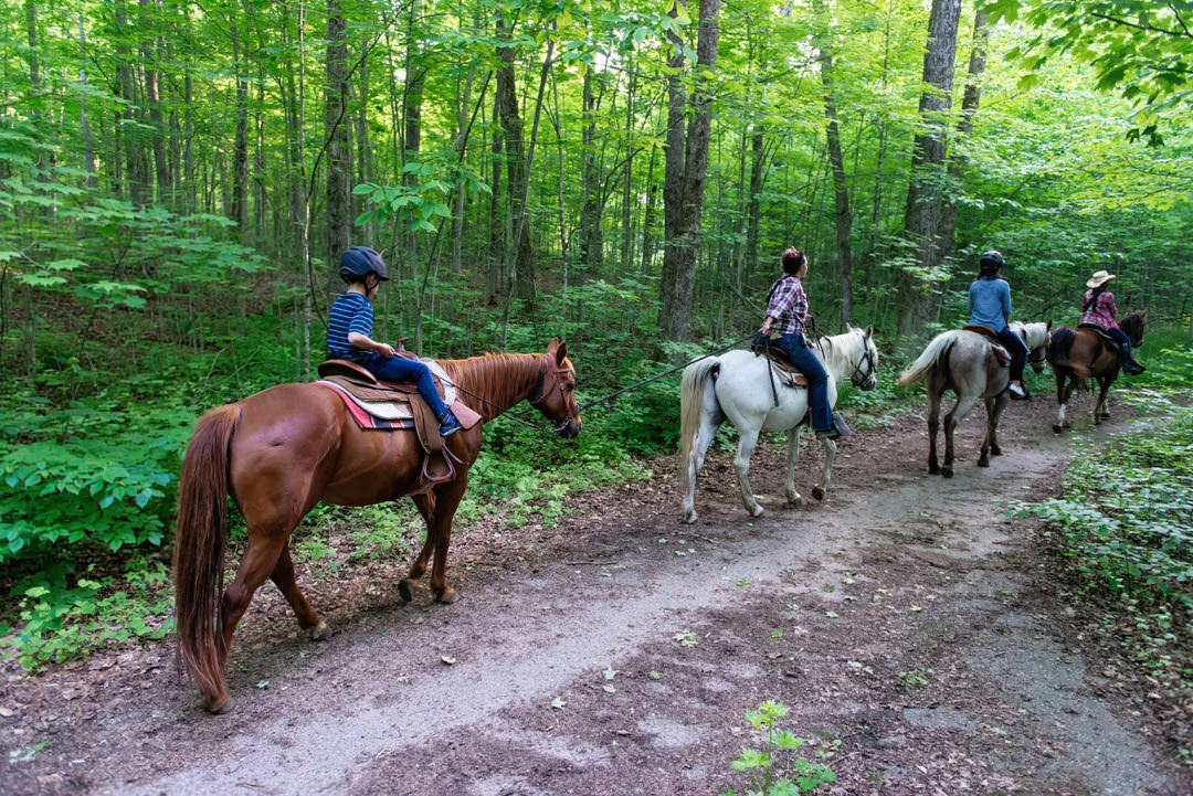Pathways on Pleasure Valley | Horseback Riding Toronto